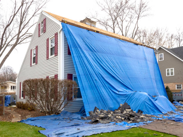 Best Aluminum Siding Installation  in Paris, TN
